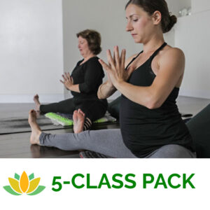 5-class pack